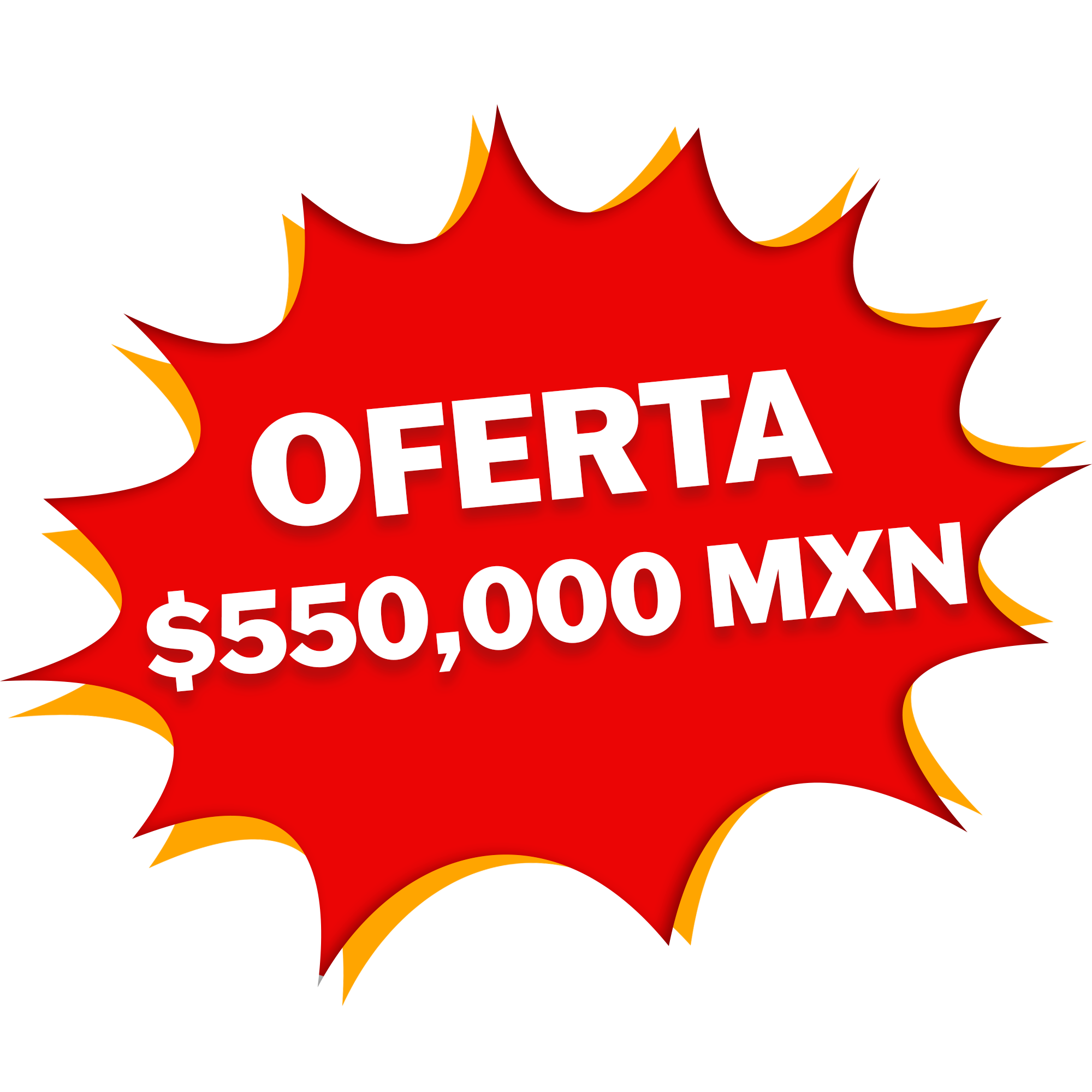 2013 precio.jpg